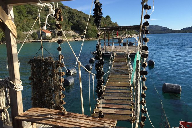 Ston and Peljesac with Wine Tasting Private Tour - Three winery visits and wine tasting: how to get the most from included tastings