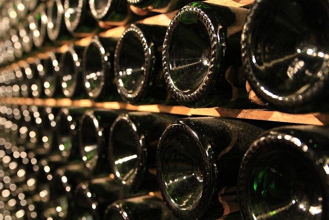 Ston and Peljesac with Wine Tasting Private Tour - Timing and pace: a full 8-hour day with no included lunch