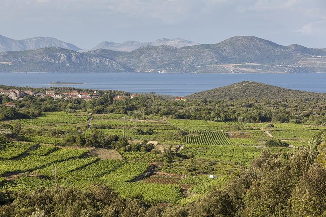 Ston and Peljesac with Wine Tasting Private Tour - Should you book this Ston and Peljesac wine day trip?