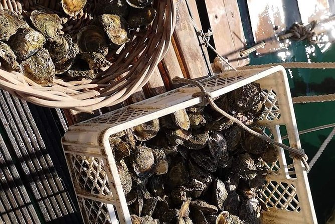 Ston Gastro Tour - Ston Walking Time: Salt Factory Options and the City Walls Decision