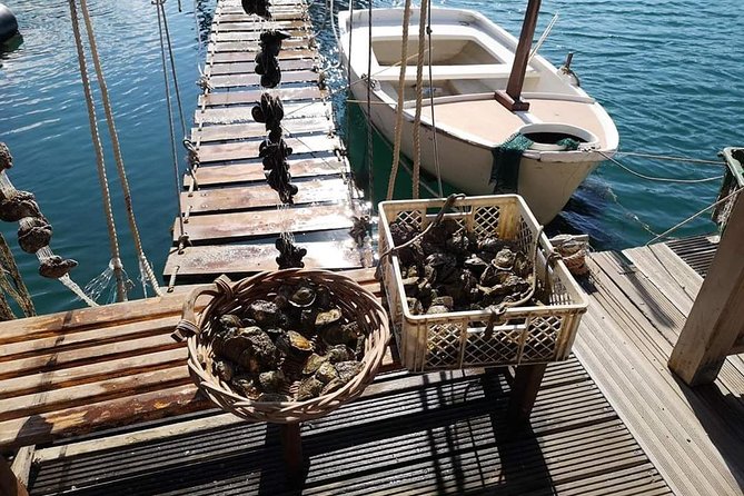 Ston Gastro Tour - Price and Value: Is $240.59 Worth It?