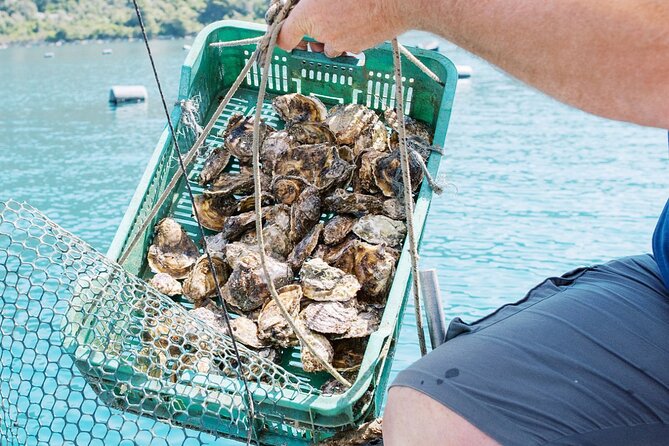 Ston Gastro Tour - Who This Tour Fits Best (and Who Might Want a Different Plan)