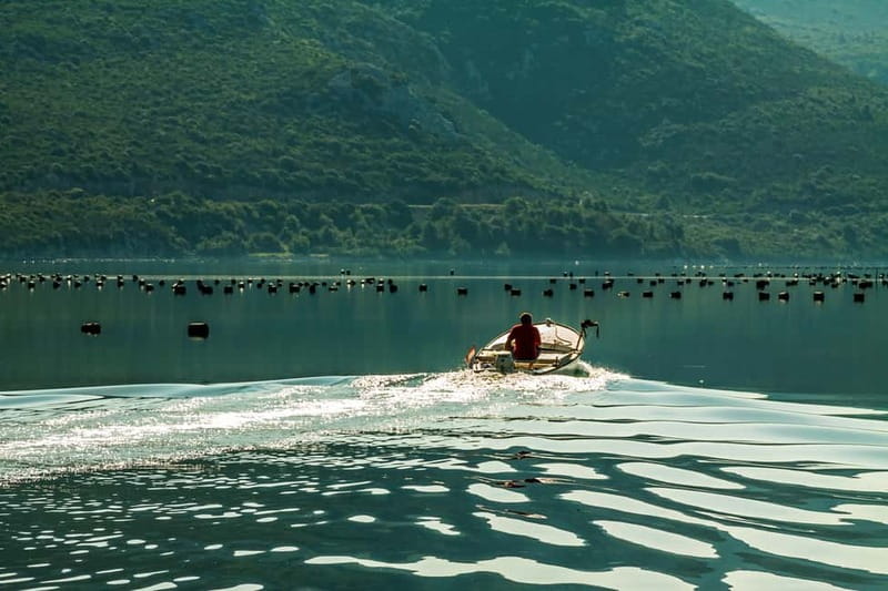 Ston Oyster & Wine Tasting Private Tour From Dubrovnik - Ston walking tour, plus salt pans that have run for 2,000 years
