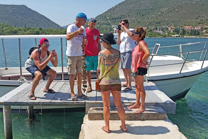 Ston Oysters & Wine Tasting Tour from Dubrovnik - Key things that make this Ston tour worth your time