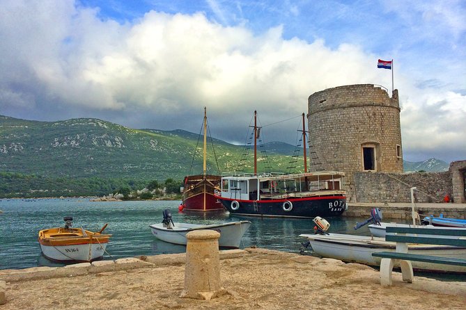 Ston Oysters & Wine Tasting Tour from Dubrovnik - Pickup and a private van, what it changes in real life