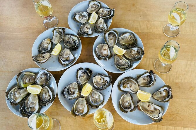 Ston Seafood & Pelješa Wine Boat Tour with Oysters and Mussels - Dubrovnik to Pelješac: the real point of this trip