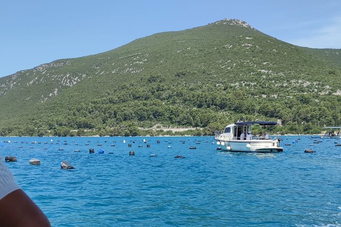 Ston Seafood & Pelješa Wine Boat Tour with Oysters and Mussels - Ston in 45 minutes: worth it, if you manage expectations