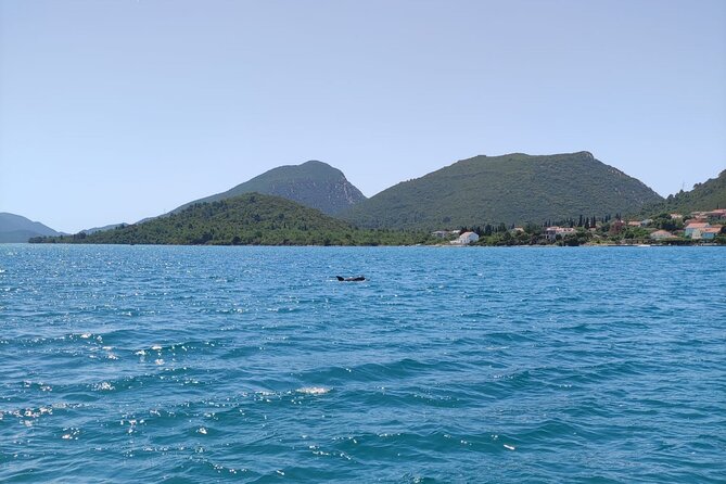Ston Seafood & Pelješa Wine Boat Tour with Oysters and Mussels - Transportation and timing: the part that can make or break the day