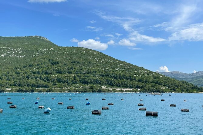 Ston Seafood & Pelješa Wine Boat Tour with Oysters and Mussels - Price and value: is 180.72 worth it?
