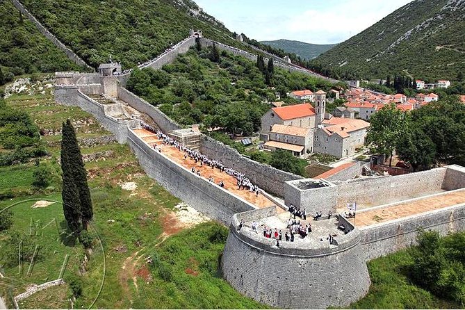 Ston & Trsteno Arboretum - Private Excursion from Dubrovnik w/ Mercedes Vehicle - Should You Book This Ston and Trsteno Private Tour?