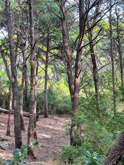 Sunrise & Sunset Hike with Picnic – Mala Petka, Dubrovnik - Key highlights that make this Mala Petka tour worth it