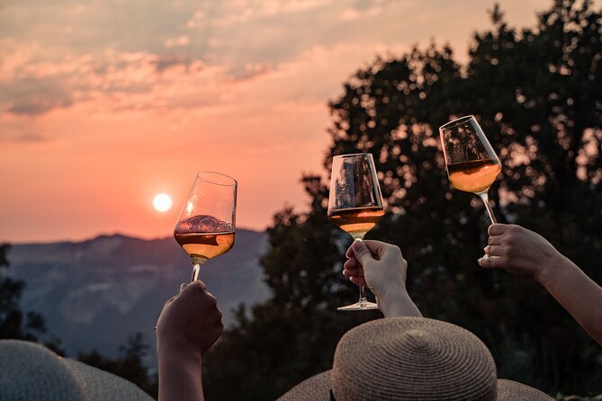Sunset wine tasting in vineyard - Key highlights