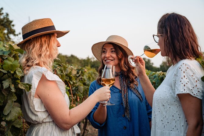 Sunset wine tasting in vineyard - Getting From Dubrovnik: Pickup, Drive, and When to Aim for