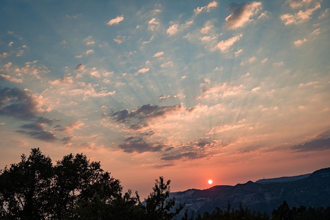 Sunset wine tasting in vineyard - Alcohol, Liqueurs, and the Family’s Style of Pouring