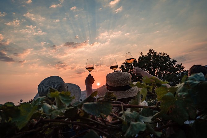 Sunset wine tasting in vineyard - Sunset Over Župa Dubrovačka: The View Timing That Actually Feels Planned