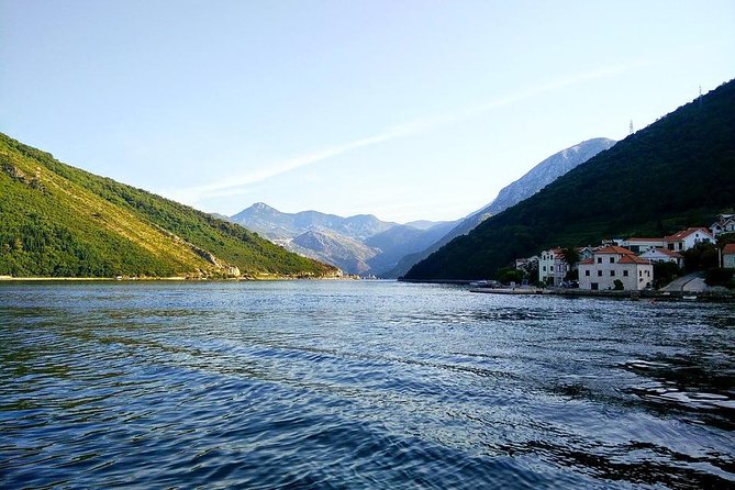 The Highlights of Montenegro - Kotor old town: cats, the Pisa tower, and 4.5-kilometer walls