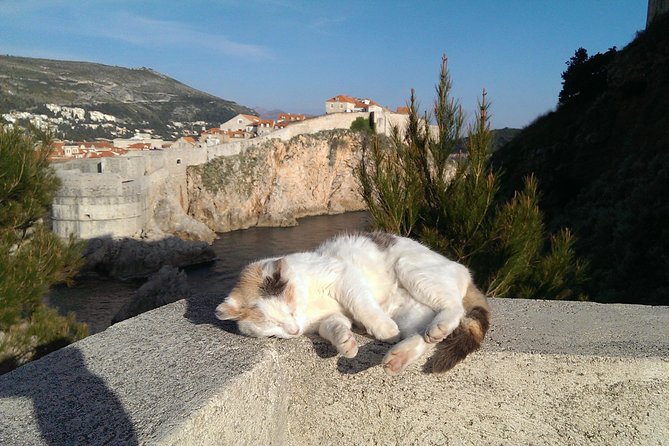 Tour The Game of Throne - Private Driving Tour - Why this Dubrovnik Game of Thrones tour feels different