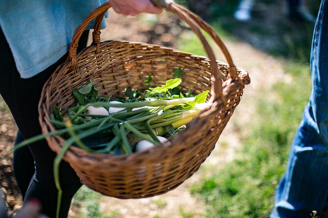 Traditional Cooking Class in Dubrovnik Countryside - The sample menu and how it connects to the farm