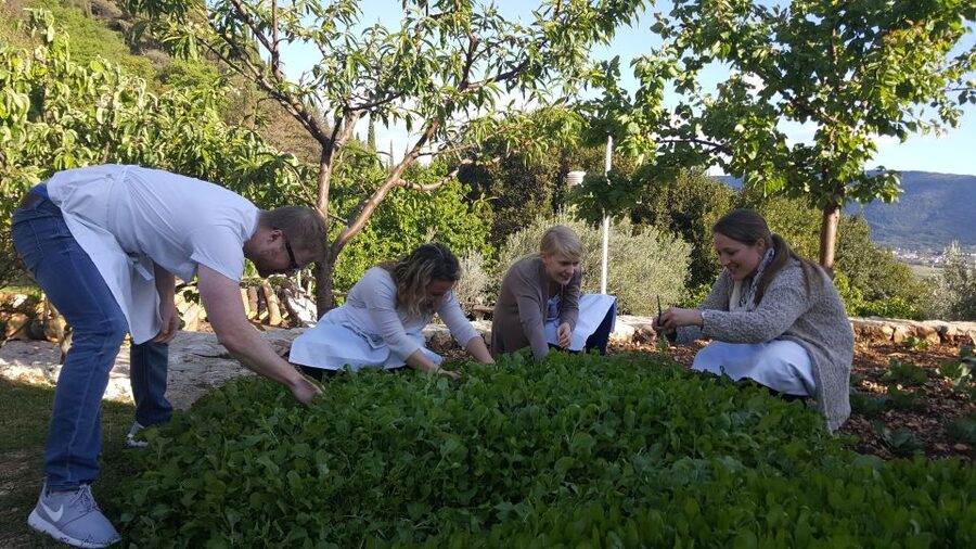 Traditional Dalmatian Cooking Class from Dubrovnik - Getting to the Countryside: Pickup, Tools, and a Welcome Drink