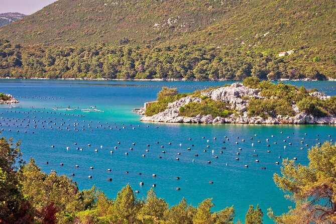 Transfer Dubrovnik to Split with Sightseeing in Ston Town - Private door-to-door comfort between Dubrovnik and Split