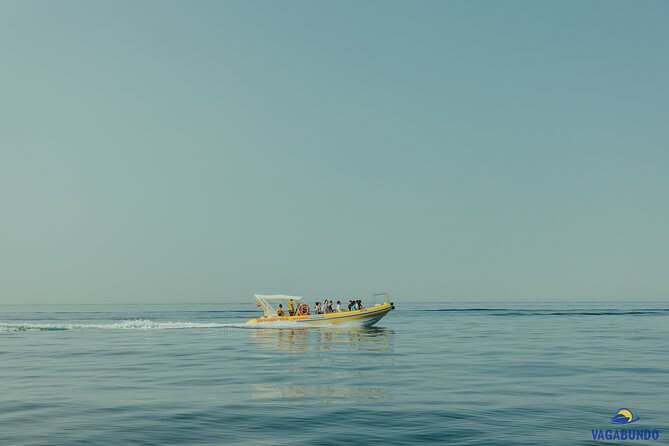 Walking & boat tour - visit Ston Walls and taste shells on farm - Getting Away From Dubrovnik: Gruž Harbor and a Speedboat Morning