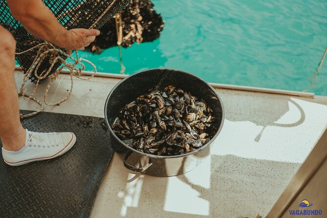Walking & boat tour - visit Ston Walls and taste shells on farm - What $218 buys you, and who gets the best value