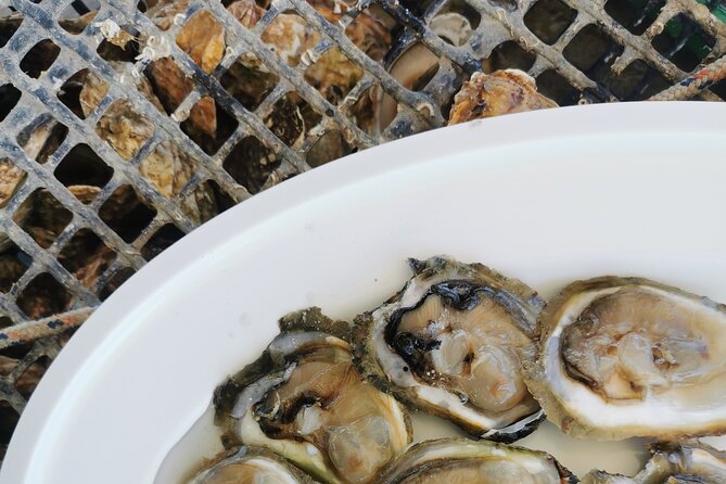 Walking & boat tour - visit Ston Walls and taste shells on farm - Should you book the Dubrovnik to Ston sea, shellfarm, and salt walls tour?