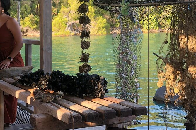Wine and Food Daily Tour - Stop 3: Edivo Wine Bar and the wow-factor of sea-aged wine