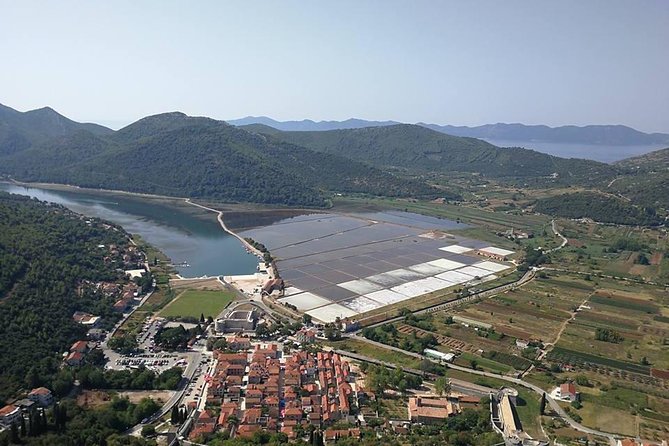 WINE KINGDOM PELJESAC from Dubrovnik - Dingac Vineyard: Why This Included Stop Matters