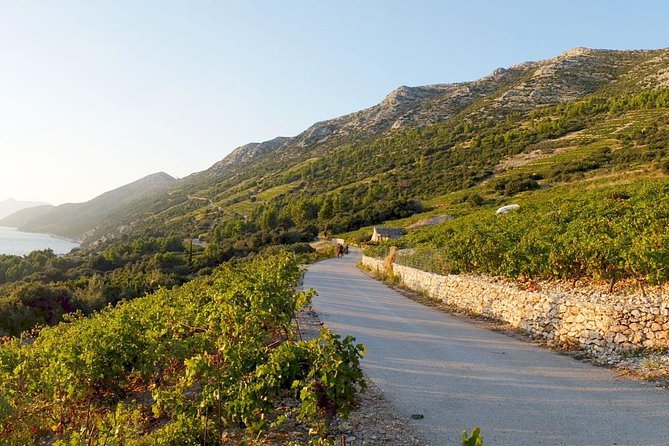 Wine Lover's Tour of Peljesac Peninsula - Where the tour starts: Hotel Petka and Dubrovnik pickup that actually helps