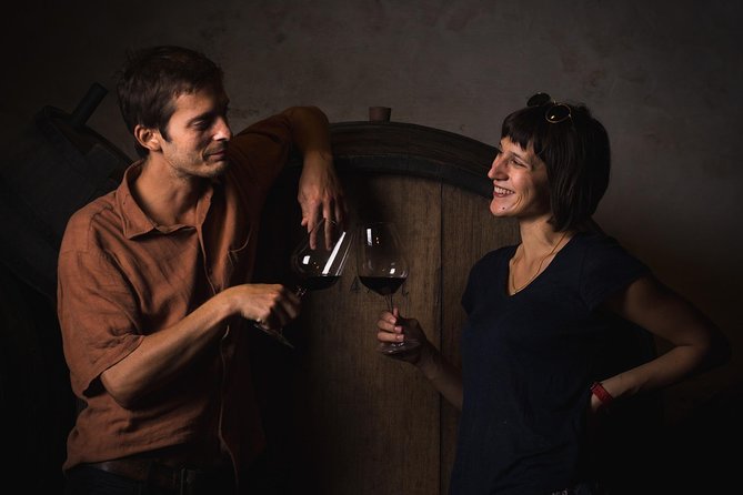 Wine Lover's Tour of Peljesac Peninsula - Three wineries on Pelješac: how to get more out of every tasting