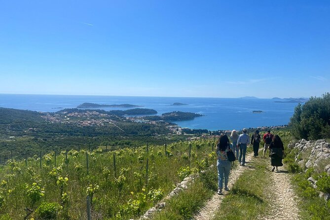 Wine Tasting in Konavle, Near Dubrovnik & Cavtat – Join Us! - Welcome, production story, and the tasting room vibe