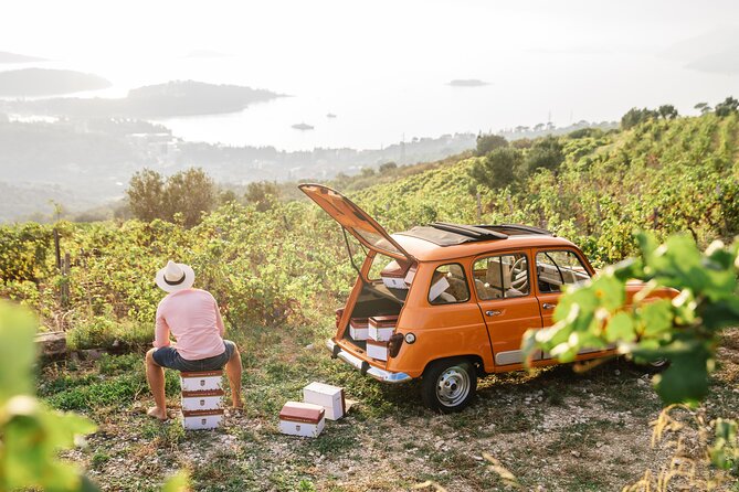 Wine Tasting in Konavle, Near Dubrovnik & Cavtat – Join Us! - The guided five-wine flight: how to swirl, sniff, and savor