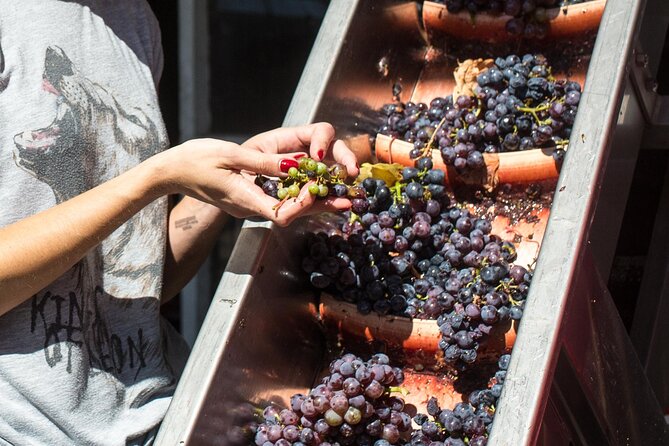Wine Tasting in Konavle, Near Dubrovnik & Cavtat – Join Us! - What the 1 hour 15 minutes really feels like