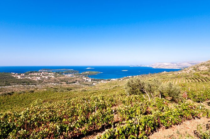 Wine Tasting in Konavle, Near Dubrovnik & Cavtat – Join Us! - Who should book this Konavle wine tasting