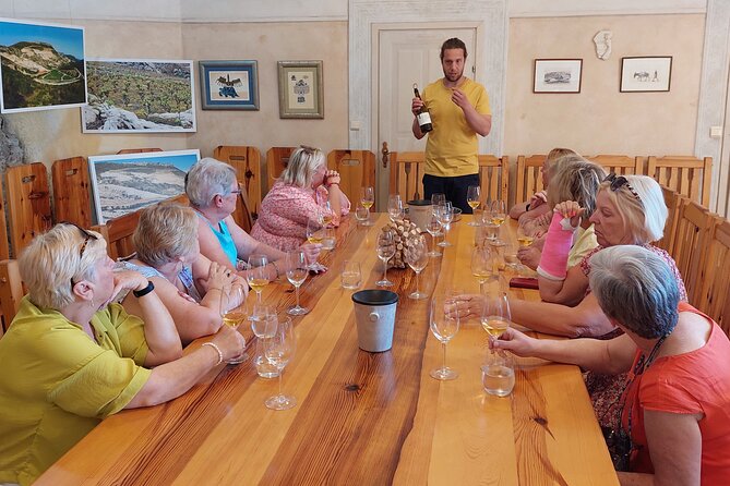 Wine tour Peljesac - Stop 1: Broce winery near Ston, with Plavac mali and Rukatac