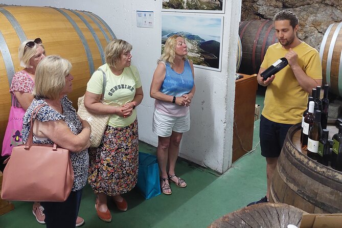 Wine tour Peljesac - Stop 2: Potomje winery for limited-quantity Plavac mali from Postup and Dingač