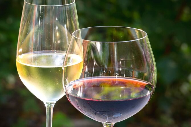 Wine tour peninsula Pelješac - Price and logistics: does $360 per group make sense?