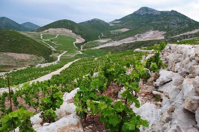 Wine tour peninsula Pelješac - Ston Salt Works stop: a fast look at an old operational site